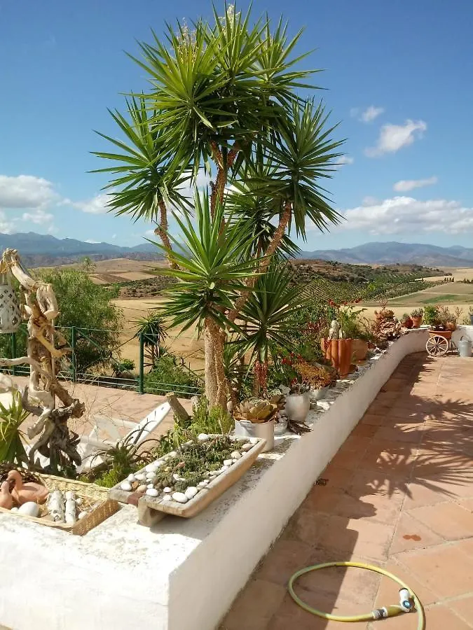 Casa Miguel Bed and Breakfast Pizarra 0*,